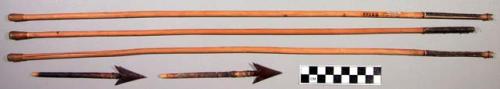 Iron-pointed arrows