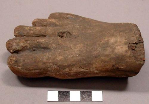 Fragment of wooden foot