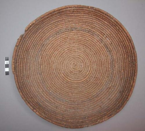 Coiled tray basket