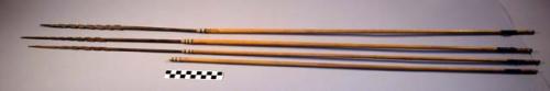 Long arrows of reed shaft and black wooden points which have three +