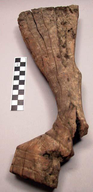 Wood bulls leg - from Angareb