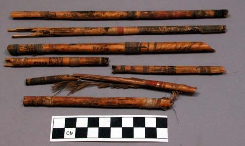 Reed arrow shafts, pigmented deco, sinew wrapped, feather fragments, nocks