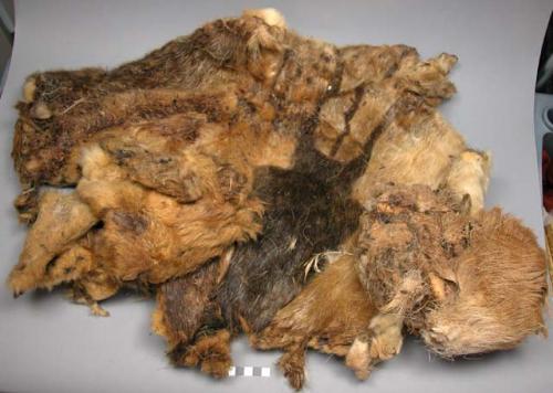 Organic hide and fur fragment, sewn pieces