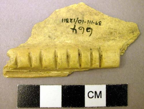 Notched bone