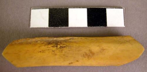 Piece of worked rib bone