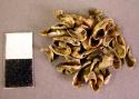Organic, shell, shell fragments