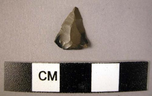 Small triangular flint point, showing signs of use