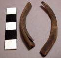 Fragments of horn amulet