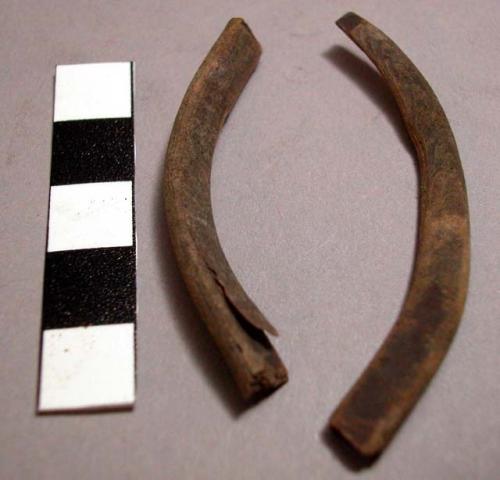 Fragments of horn amulet