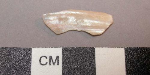 Shell, fragment of iredescent shell