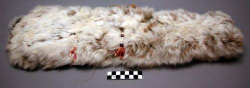 Neck wrap of hare skin with buckskin ties. Ornamented with strings of beads and teeth of bear and deer.