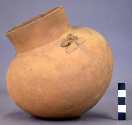 Earthen vase; handles represent a frogs head
