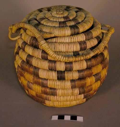 Coiled basket with handle and cover