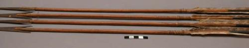 4 arrows, probably Sioux. Grooved wood shafts. Wide painted blue band around sha