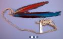 2 macaw tail feathers
