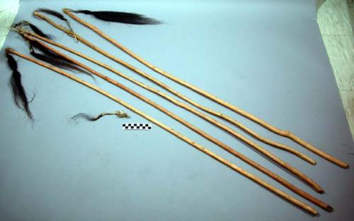 Drum sticks; used in Sun Dance