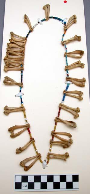 Necklace of beads and humeri