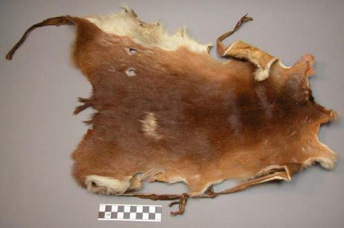 Skin cloak - antelope (neotragus)