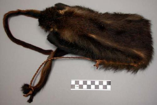 Skin bag - monkey, "cercopithecus nictitano" ("kunda")