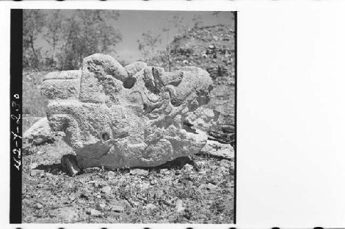 Great serpent head with kneeling figure, Plaza N of Str Q162