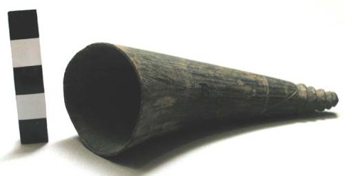 Carved horn