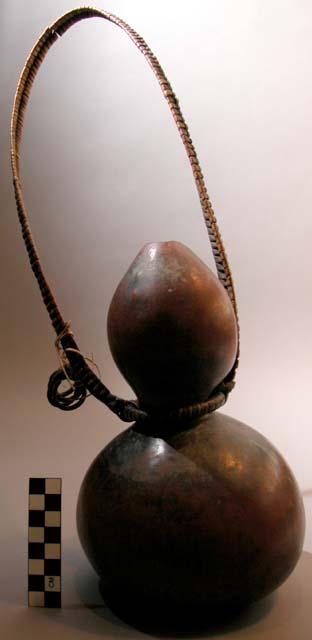 Gourd bottle with handle