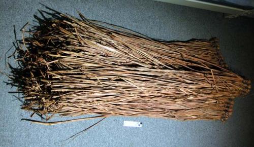 Grass skirt - part of costume belonging with 50/2851