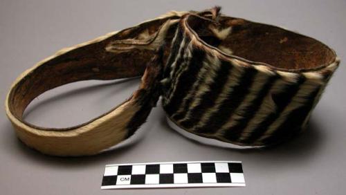 Strip of antelope skin (Okapi)