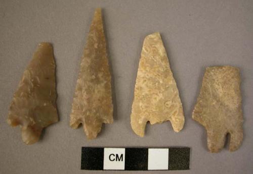 Four (4) Flint Tanged and barbed arrowheads of medium to large size