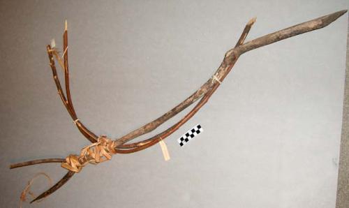 Bird snare, forked stick tied to bow-like piece of wood, ndeti