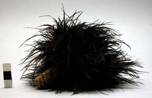 Ornament, corn cob w/ tuft of black ostrich feathers, shedding