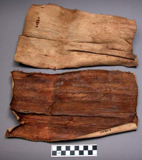 Pieces of inner bark of tree