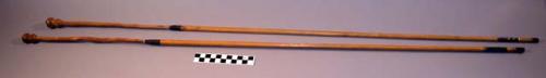 Arrows of reed shaft and wooden head ending in almost sperical point