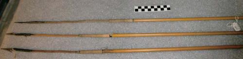 Fish arrows with iron points
