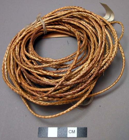 Belts of braided grass for adults