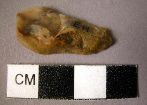 Medium-sized chert showing signs of use, tapering ovoid, elogated; cortexed back