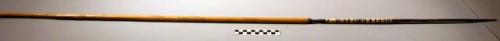 Long arrow - reed shaft, long set-in tip of wood