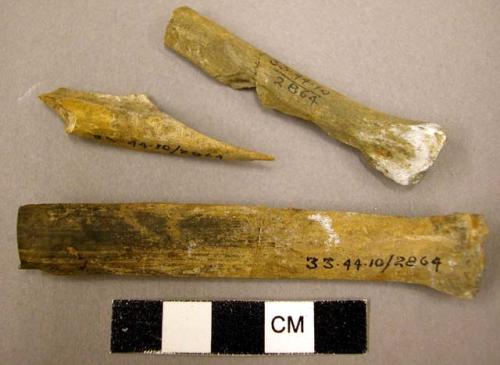 Worked bone fragments