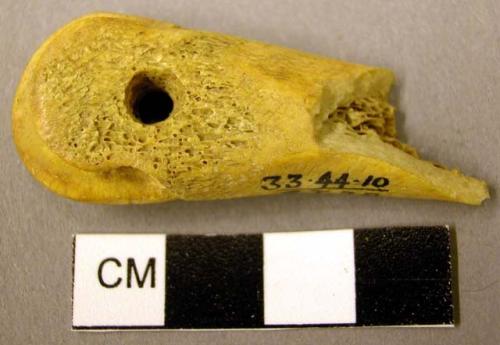 Fragment of perforated bone awl