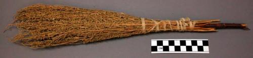 Sprig of sagebrush on stick, for puberty ceremony.