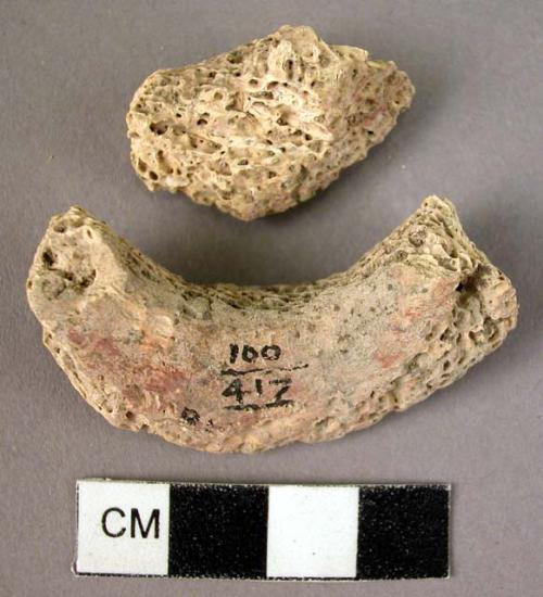 Bracelet, spongy, bone, fragments