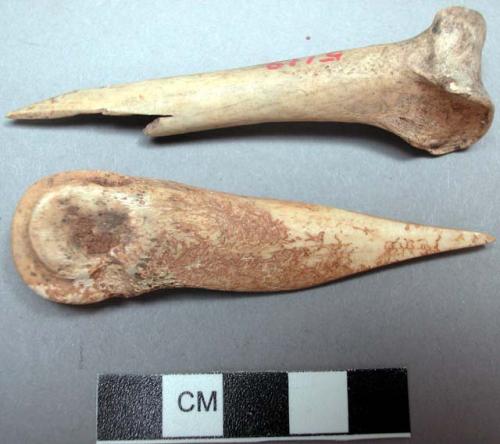 Bone points with rounded joints