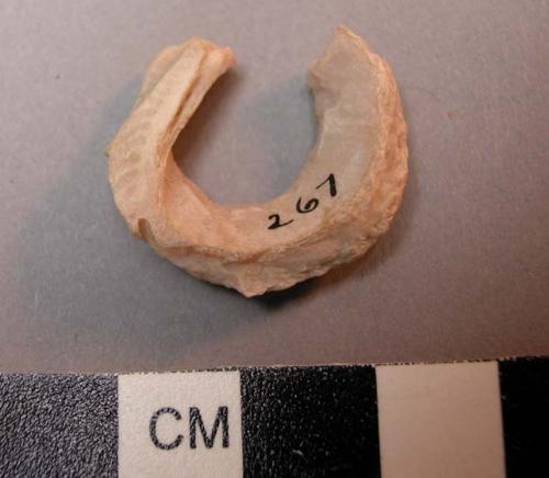 Shell, bivalve rim fragment, worked