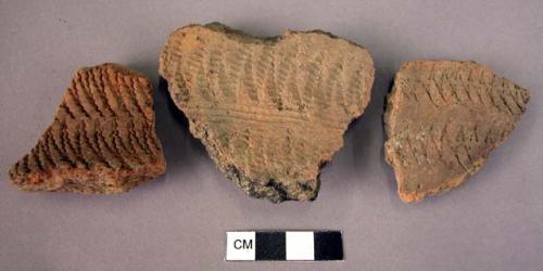 242 potsherds with cardial decoration and red interior