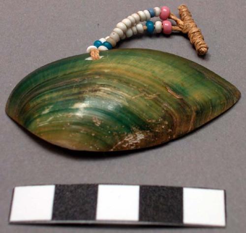 Shell ear pendant