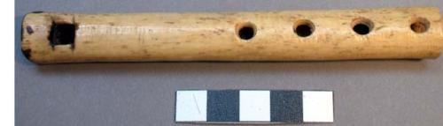 Bone flute