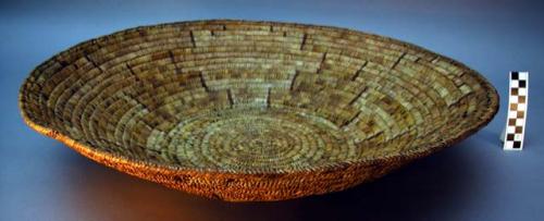 Large tray basket. Coiled on welt and splint foundation. Bifurcated stitches.