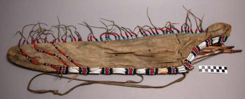 Skin quiver containing 6 arrows; quiver is decorated with dentalium shells and t