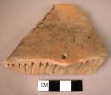 One sherd with impressed design and small punched loop hole for suspension