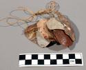 Portion of a strand of a shell chest plate/ necklace (eruricadi)